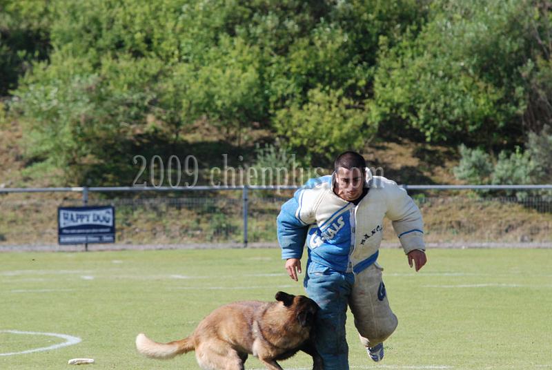 3 EME SELECTIF 2009 GRANDE SYNTHE 387.jpg